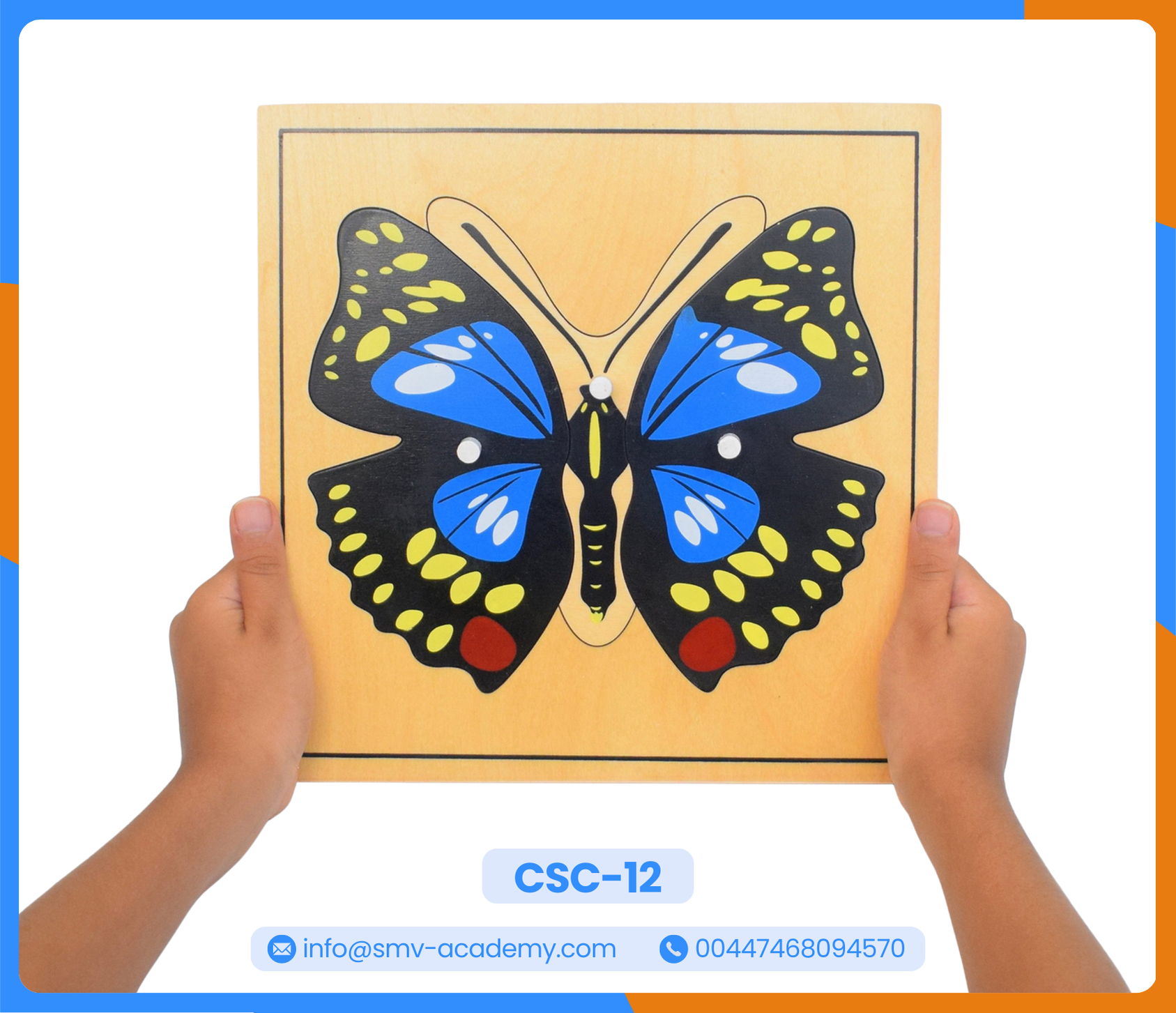بازل أجزاء الفراشة - Parts of a Butterfly Puzzle
